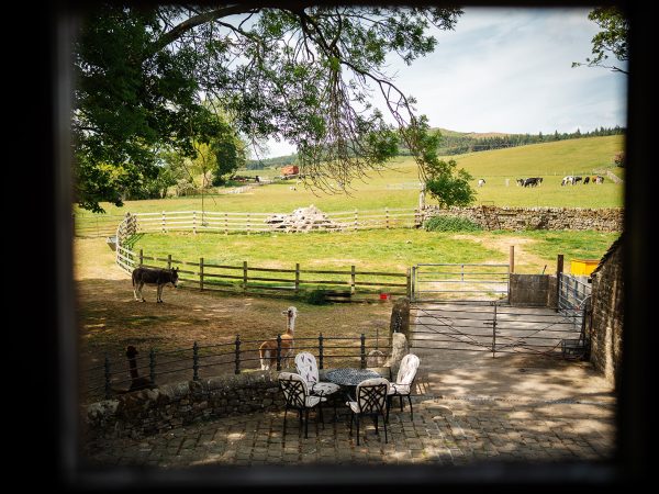 Bay Horse Farm Holiday Cottages View of the farm
