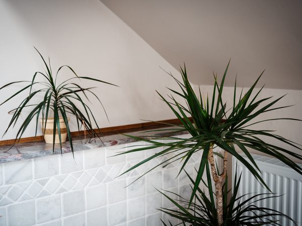 Bay Horse Farm Holiday Cottages House bathroom and 3 ensuite bathrooms